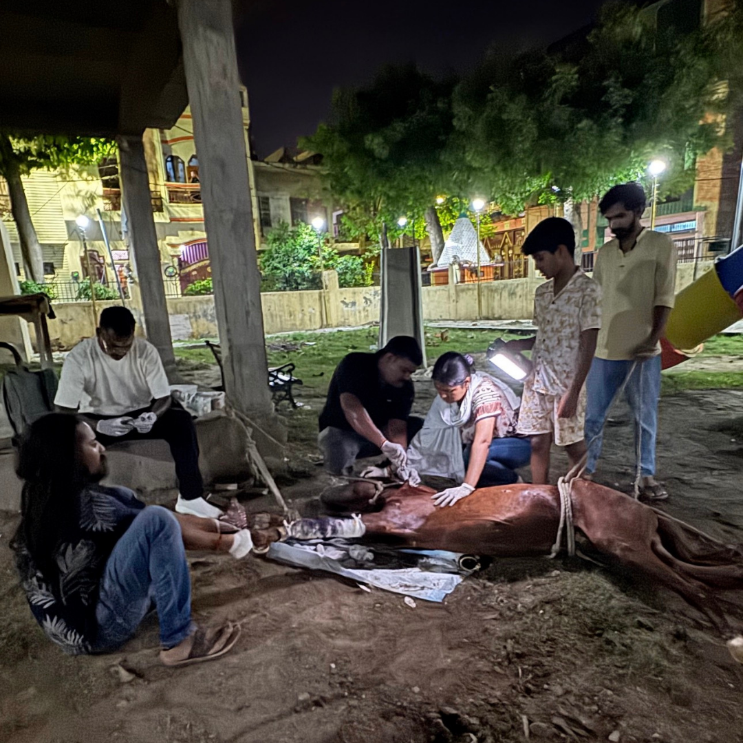Street Rescue