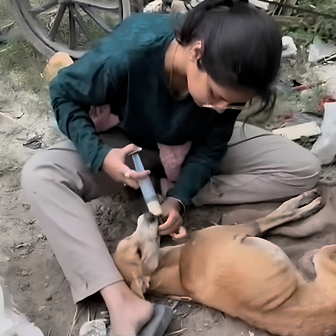 Street Rescue