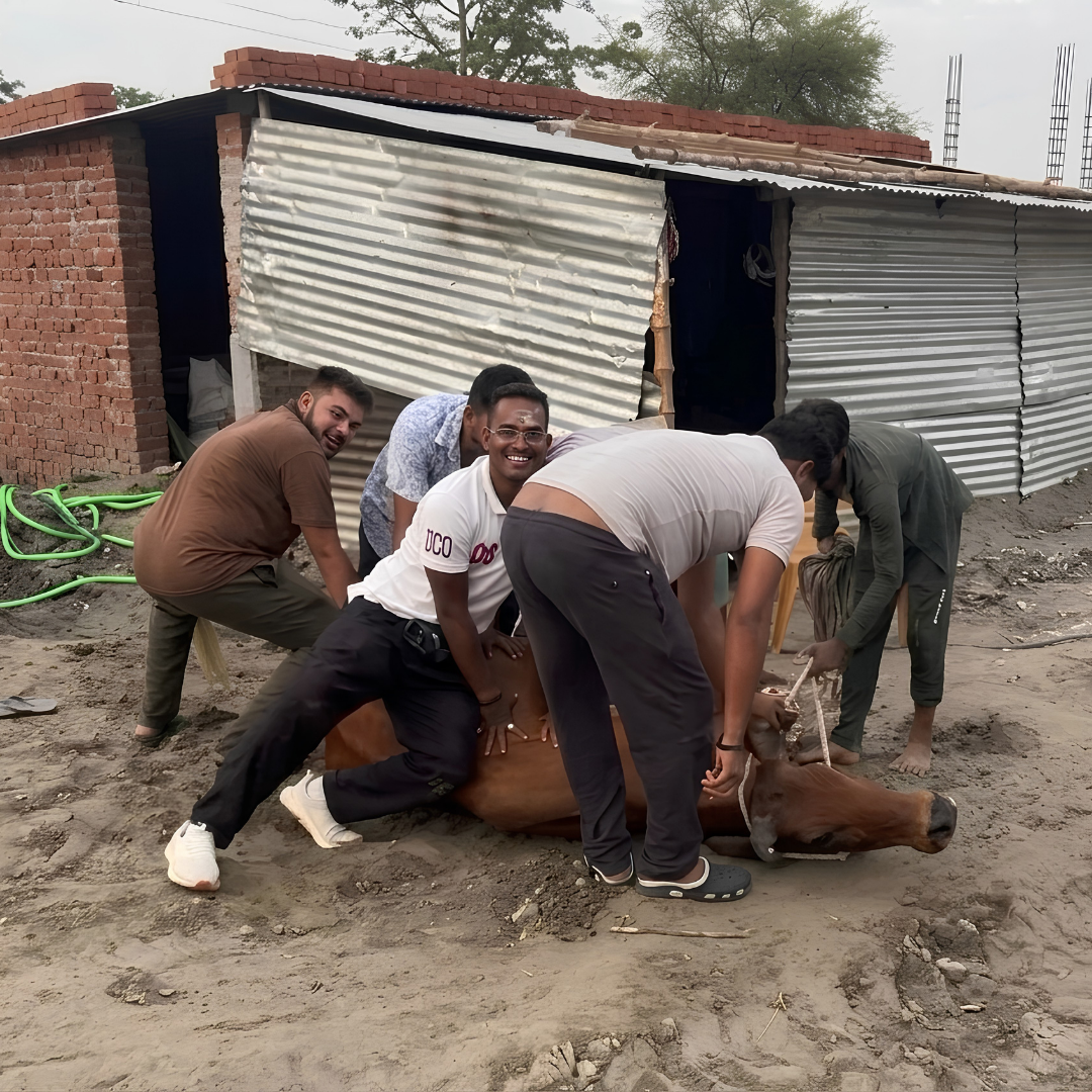 Street Rescue