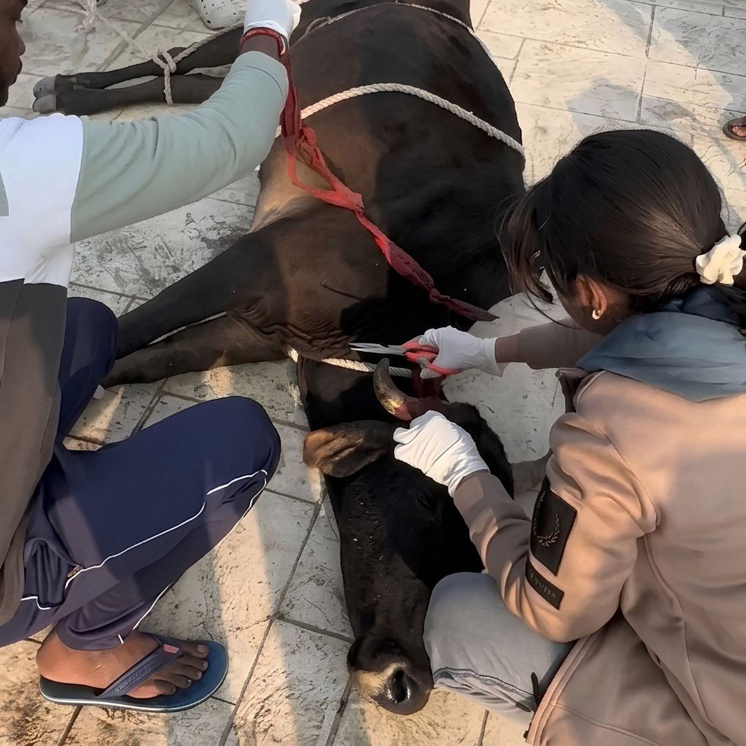 Street Rescue