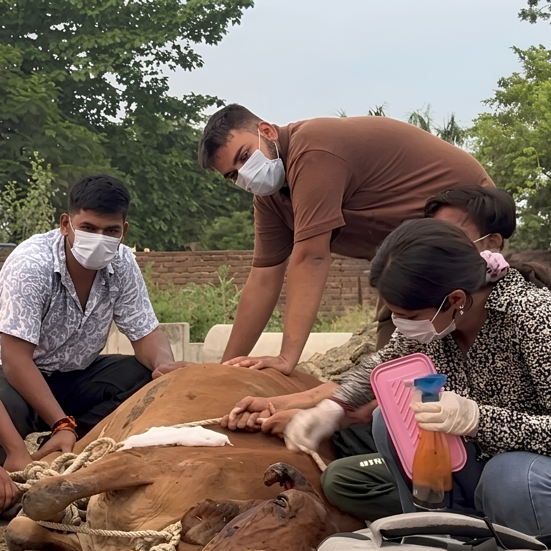 Street Rescue